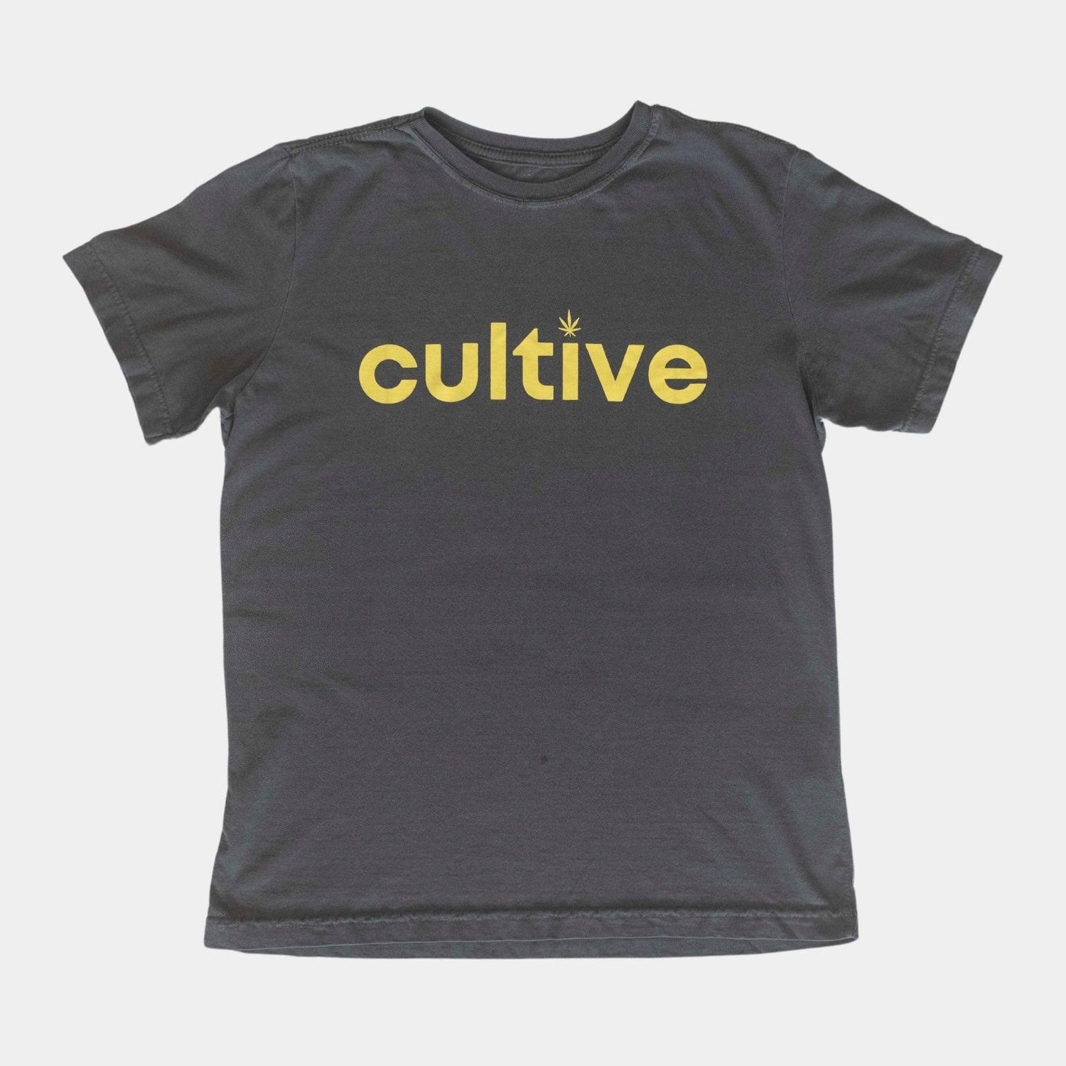 Camiseta Cultive Cinza - The Bud Bag - Camiseta