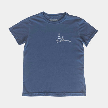 Camiseta Molécula Azul - The Bud Bag -  Camiseta