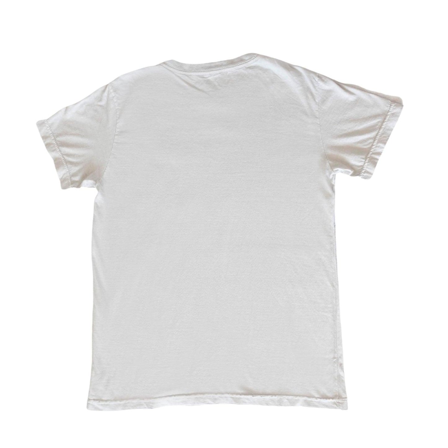 Camiseta Passa a Bola - Gelo - The Bud Bag - Camiseta