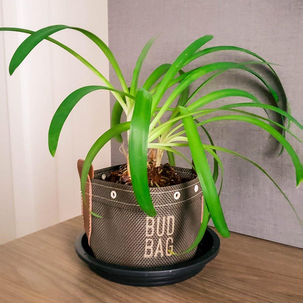 Kit Pequeninas - Bud Bag Nature - The Bud Bag