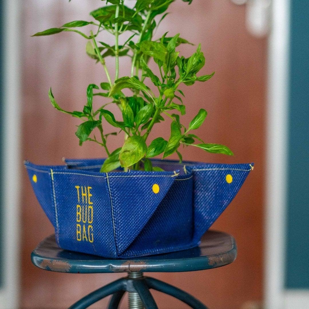 Bud Bag Cubo M - Vaso para Transplante da Coleção Vibe - The Bud Bag -  Vaso de Plantas