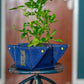 Bud Bag Cubo M - Vaso para Transplante da Coleção Vibe - The Bud Bag -  Vaso de Plantas