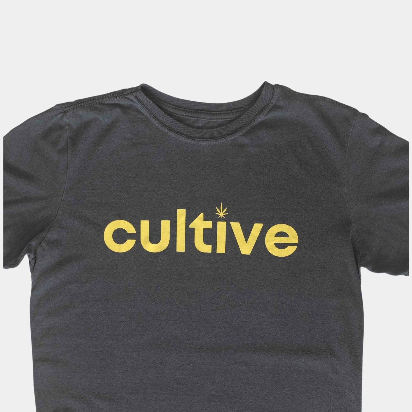 Camiseta Cultive Cinza - The Bud Bag -  Camiseta