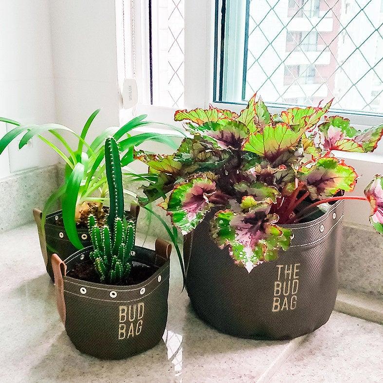 Kit Multiplantas Bud Bag Nature - The Bud Bag -  Vaso de Plantas