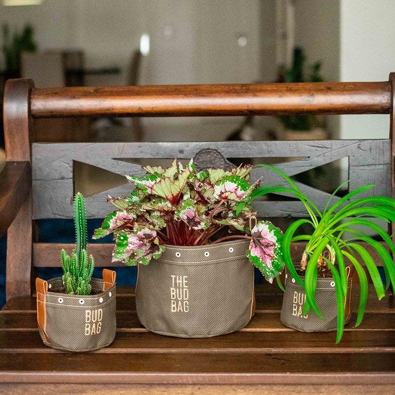 Kit Multiplantas Bud Bag Nature - The Bud Bag -  Vaso de Plantas